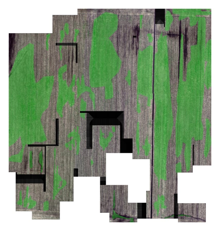 Weed clusters — detection