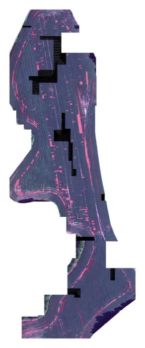 Field 4 — detection output